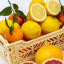 Load image into Gallery viewer, Ruby Red Grapefruit - 50ml Reed Diffuser by OLOR