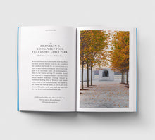 Load image into Gallery viewer, An Opinionated Guide to New York - Devra Ferst - Hoxton Mini Press