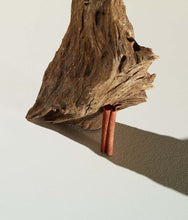 Load image into Gallery viewer, Bon Parfumeur Eau de Parfum 301: sandalwood, amber and cardamom - a spicy sandalwood. 30ml / 1 fl.oz.