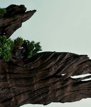 Load image into Gallery viewer, Bon Parfumeur Eau de Parfum 602: pepper, cedar and patchouli - a peppery cedar. 30ml / 1fl.oz.