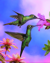 Load image into Gallery viewer, Kaweco Collection Liliput Kolibri Fountain Pen - Medium nib