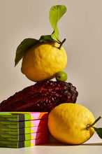 Load image into Gallery viewer, Ocelot Chocolate - Lemon Olive Oil - Organic 70% dark chocolate bar, 70g