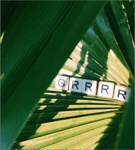 Load image into Gallery viewer, Maison Matine - Into The Wild unisex Eau de Parfum