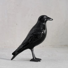 Load image into Gallery viewer, Crow by Laboratorio d&#39;Estorias
