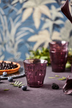 Load image into Gallery viewer, Duralex Picardie - Precious Nature "Plum" 25cl glasses, a set of four