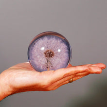Load image into Gallery viewer, Dandelion Paper Weight by Hafod Grange
