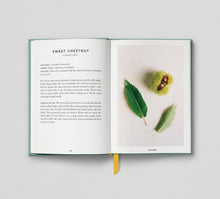 Load image into Gallery viewer, The Urban Forager:  Find and Cook Wild Food in the City - Wross Lawrence - Hoxton Mini Press
