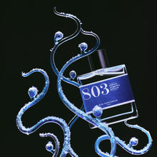 Load image into Gallery viewer, Bon Parfumeur Eau de Parfum 803.  Sea spray, ginger, patchouli - a frosted patchouli. 30ml / 1 fl.oz.
