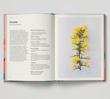 Load image into Gallery viewer, Hoxton Mini Press - Wild and Sweet - Hardback Cookery Book
