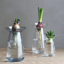 Load image into Gallery viewer, AQUA CULTURE VASE by KINTO - 12cm tall
