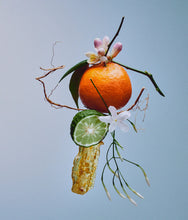 Load image into Gallery viewer, Bon Parfumeur 001. Orange blossom, petit grain, bergamot - the timeless cologne. 30ml / 1 fl.oz.
