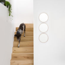 Load image into Gallery viewer, Glance 310 wall mirror natural oak frame by .Wireworks
