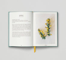 Load image into Gallery viewer, The Urban Forager:  Find and Cook Wild Food in the City - Wross Lawrence - Hoxton Mini Press
