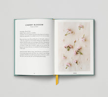 Load image into Gallery viewer, The Urban Forager:  Find and Cook Wild Food in the City - Wross Lawrence - Hoxton Mini Press
