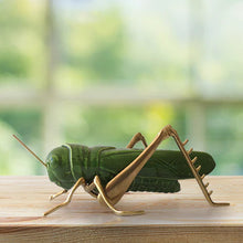 Load image into Gallery viewer, The Stillness of The Grasshopper
