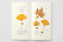 Load image into Gallery viewer, TRAVELER&#39;S Company notebook refill 025 - MD paper cream - regular size
