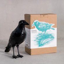 Load image into Gallery viewer, Crow by Laboratorio d&#39;Estorias
