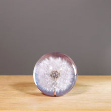 Load image into Gallery viewer, Dandelion Paper Weight by Hafod Grange

