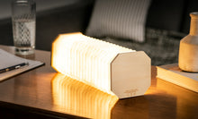 Load image into Gallery viewer, SMART ACCORDION LIGHT by Ging-Ko Design

