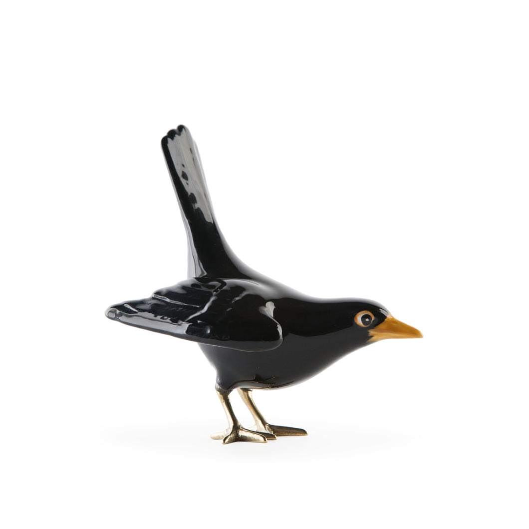 Blackbird by Laboratorio d'Estorias